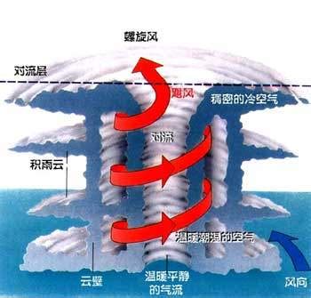 颱風的形成兒童|【未來小學堂】颱風居然是這樣形成的，還貢獻台灣三分之一的雨。